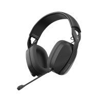 WS-1
